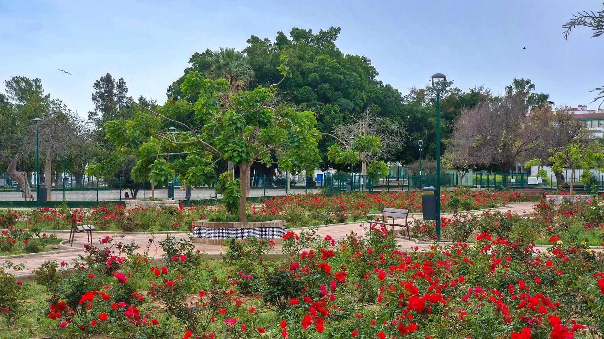 Apartmán Estudio Huelin Playa Màlaga Španělsko